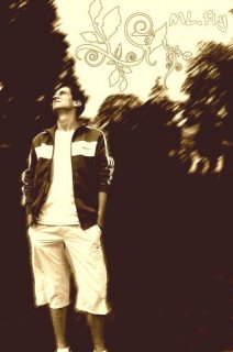 Owner  of  the  lonely  heart...