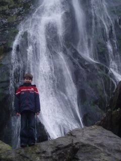 tutis