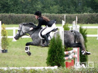 radai  plyta-  mesk  i  fyfa  ;)