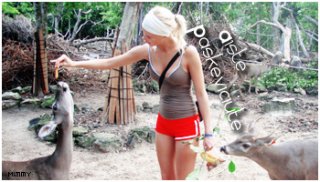 fake!  visu  fakiu  login  i  frm