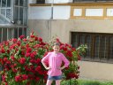 ♥...Egle...♥