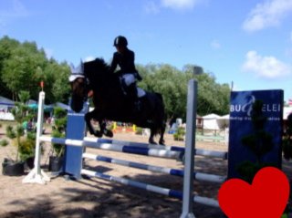 ♥Hors?♥                  Love  HORSES...