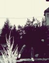 Linukash*