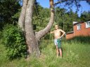 Владимир
