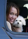 miley  cyrus  fanu  klubas