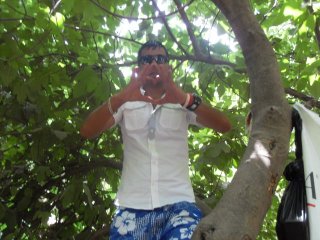 honar