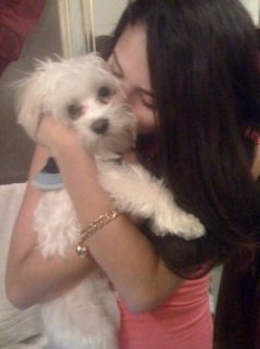 Jasmine.